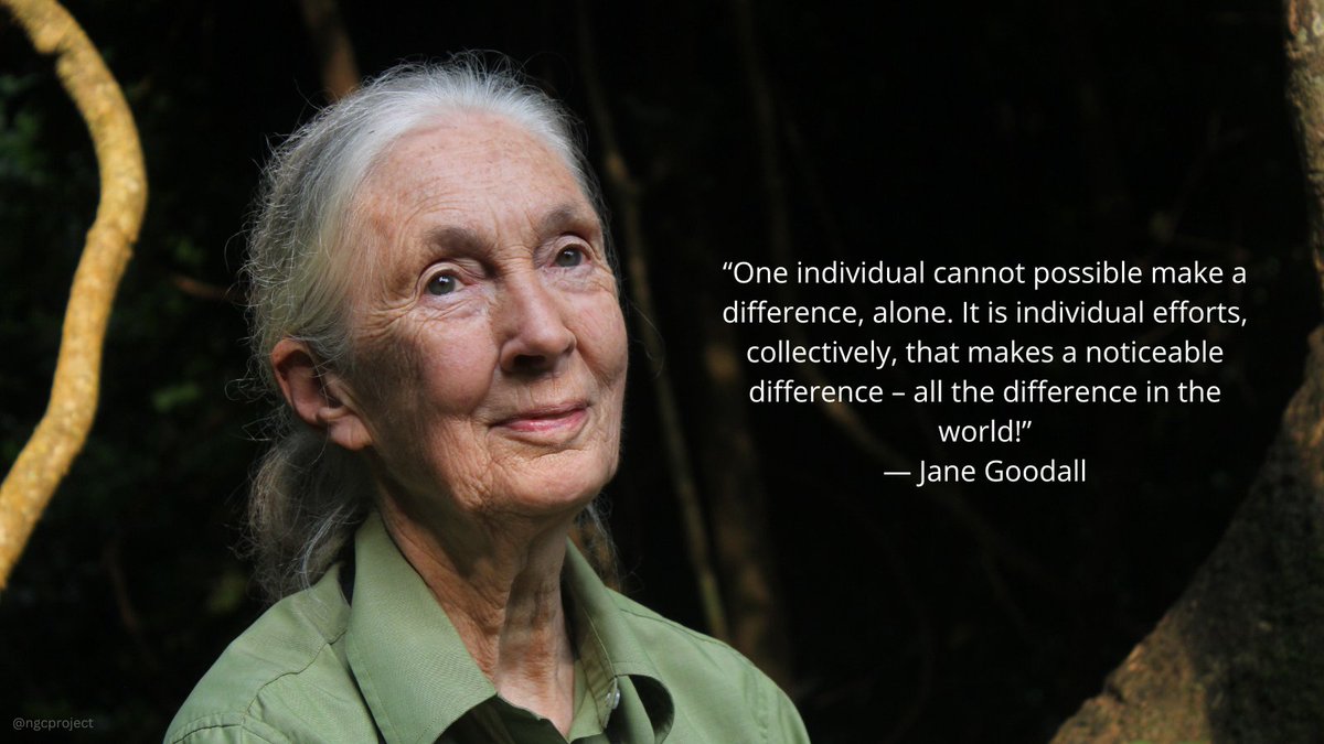 ngcproject's tweet image. We are saddened by the passing of Dr. Jane Goodall. She broke barriers for women in science and inspired generations to pursue their curiosity and make an impact in STEM. Her legacy will continue to guide future changemakers.