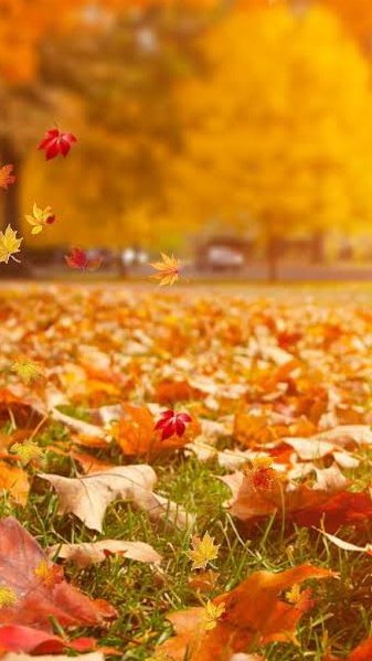 Çözebileceğin bir mesele değilim,istersen vazgeç...