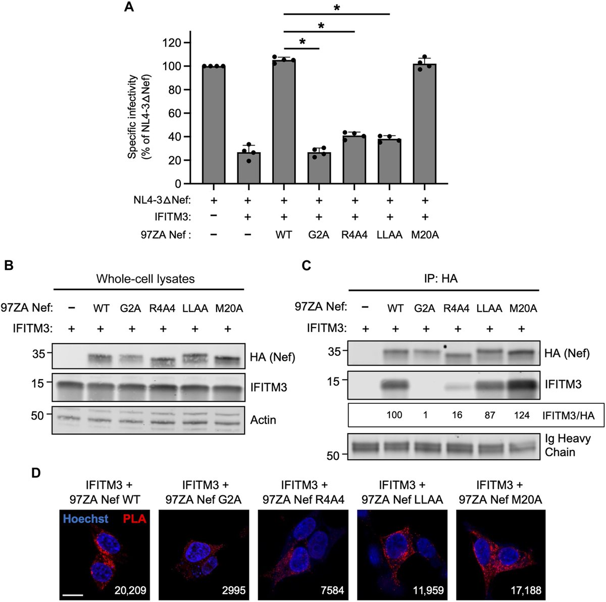 Waggoner Lab tweet media