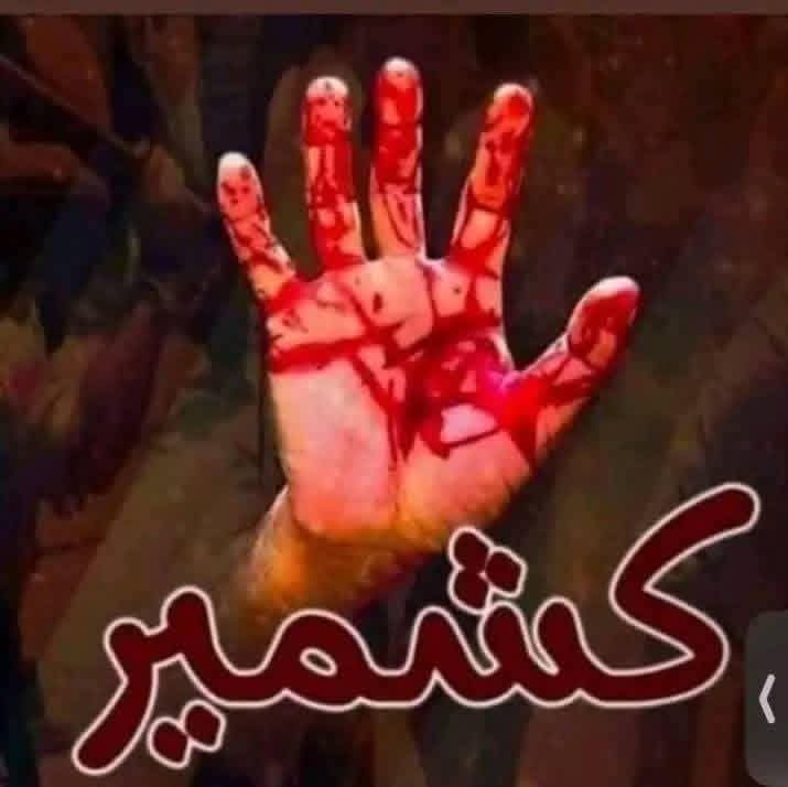 Shamim0095's tweet photo. ازاد کشمیر عوامی ایکشن کمیٹی عوام کے حقوق کے لیے جدو جہد کر رہی ہے تین دن ہو گئے سوشل میڈیا کے تمام رابطے انٹرنیٹ حکمرانوں نے بند کر دیا اور درجنوں جوانوں کو شہید کر دیا ہے https://t.co/GnweguerX7