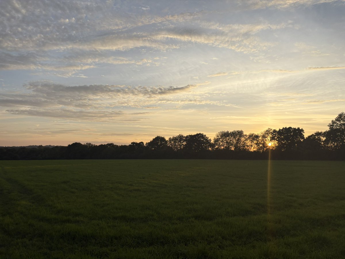 Today’s running route with a sunset