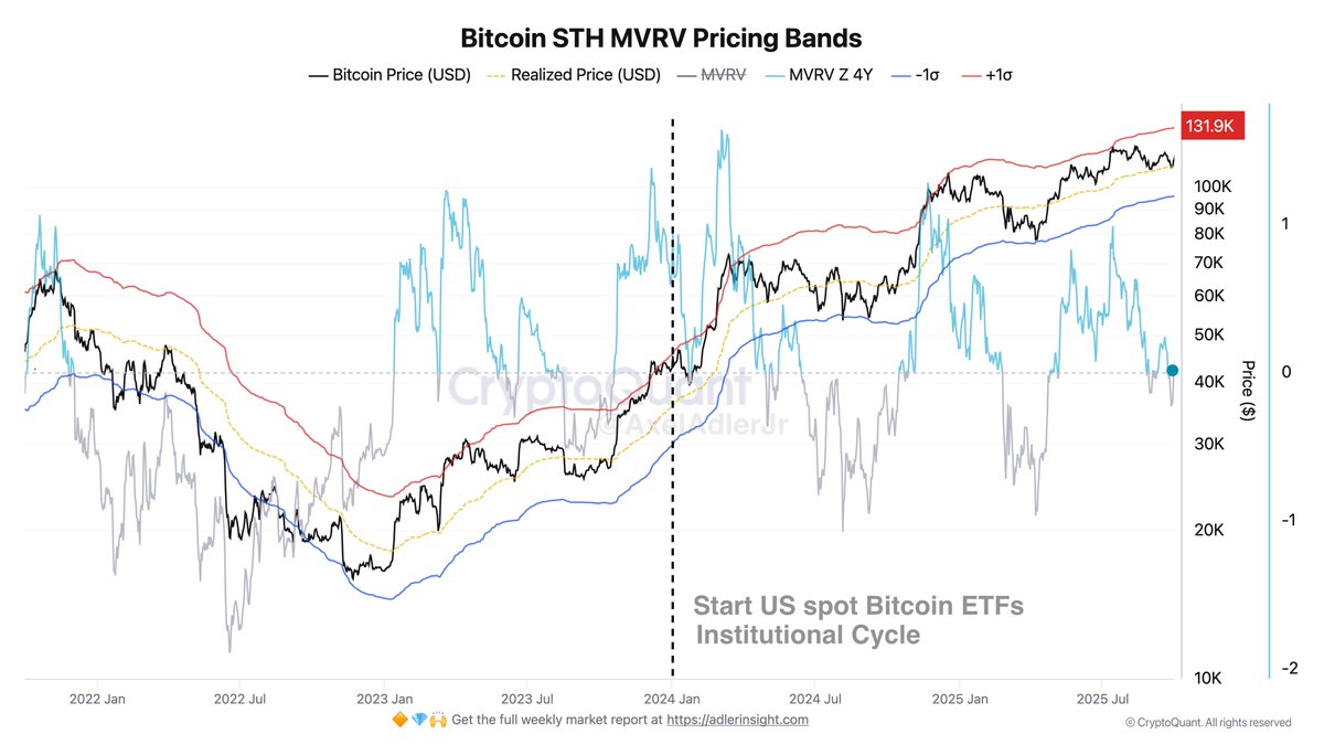 Bandas de precios Bitcoin STH MVRV | Fuente: Axel Adler