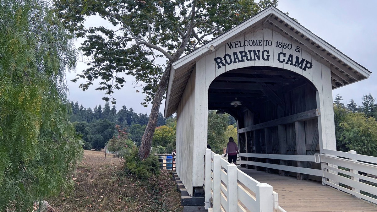 woodardcurran's tweet photo. Our San Jose, CA team kicked off fall with a memorable journey through the #RedwoodForest riding on the steam train @roaringcamp. It's outings like these that foster team bonding and reinforce our commitment to protecting our natural resources for future generations! #LifeAtWC https://t.co/l1f7c9yKAx