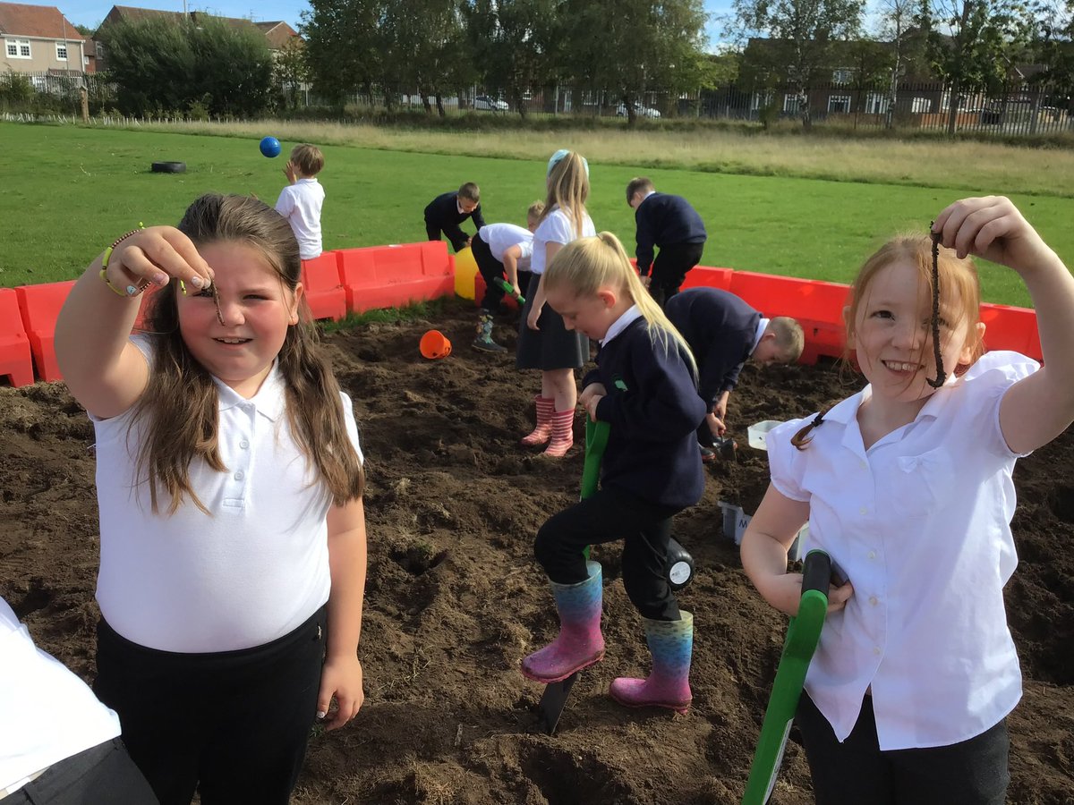 Park End Primary School tweet media