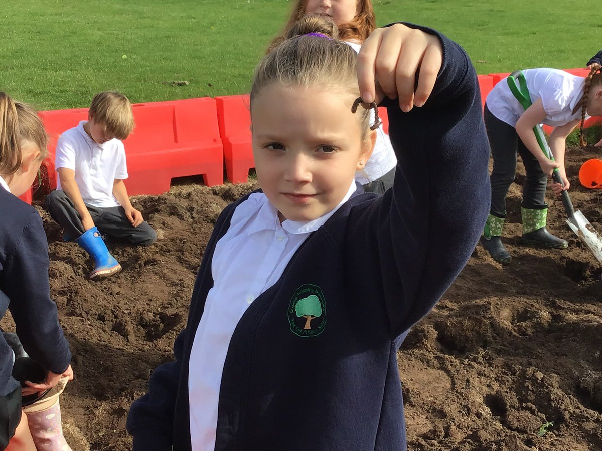 Park End Primary School tweet media