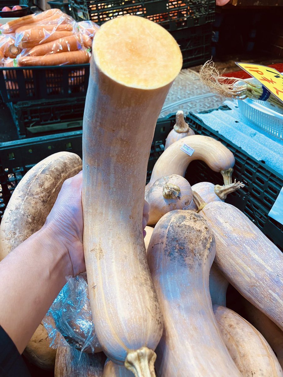RahmaniaHalal's tweet photo. It feels like Autumn is coming！🍁
By the way, have you heard of "Butternut squash"? It's a rare gourd-shaped pumpkin! Autumn is the best season for enjoying meals. Please give it a try.😊

#rahmania_halal_supermarket #importedfood  #halal #btternutsquash #autumn #otsuka #tokyo https://t.co/Mn1VJy7p8o