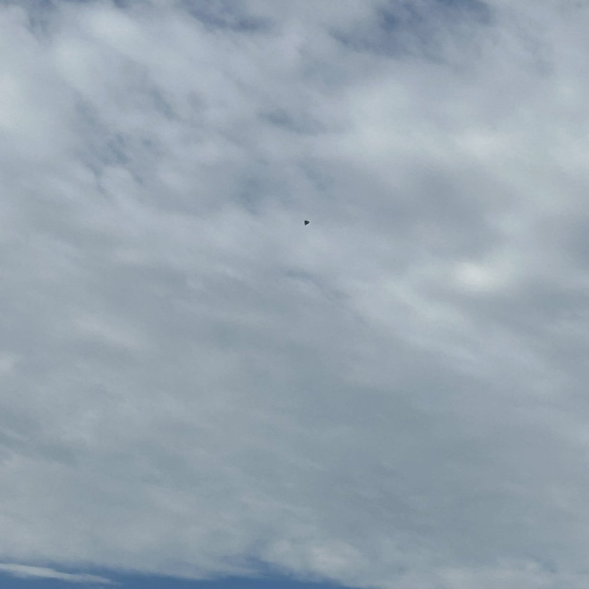 Some_Guy_Ryan's tweet photo. Bought my dad a $16 balloon for his birthday https://t.co/g2j7GgKCzY