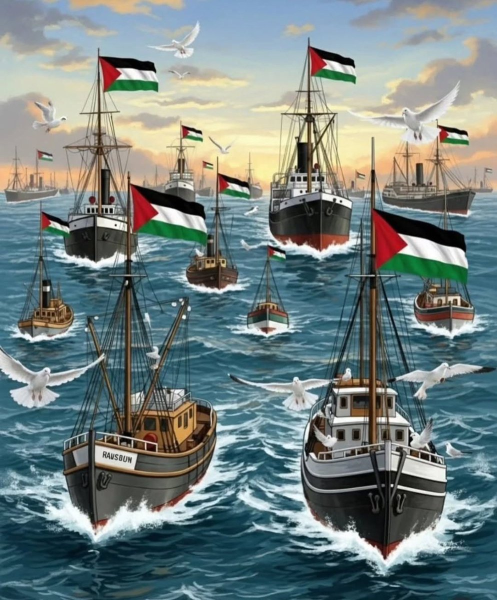 Rabbim sen yardımcıları ol. ☝️🤲🥹
#FreePalestine