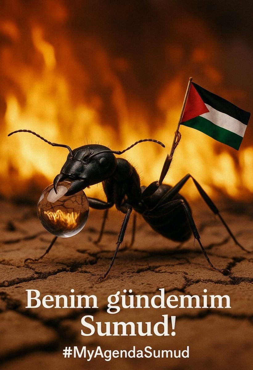 aslan_muratti's tweet photo. #SumudForGaza https://t.co/tp3ZwR45A9