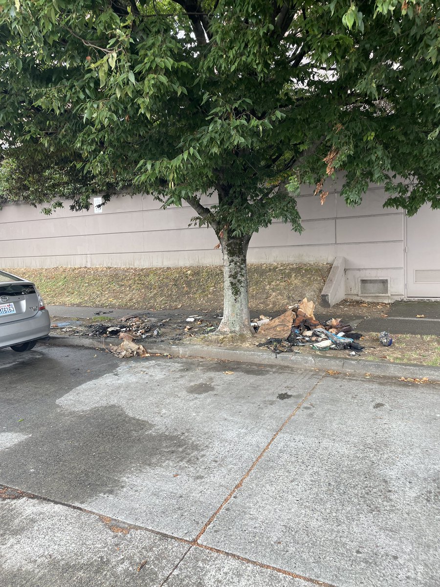 rain__watch's tweet photo. This encampment in Seattle was reported to the city on Sept 8th 2025 and was left “open” and completely unaddressed until it BURNT DOWN on Sept 29th 2025.

How many reports does it take for the city to care?????
Does Find It Fix It even work????

@CMJoyHollings 
@bruceharrell https://t.co/DkaNprPObC
