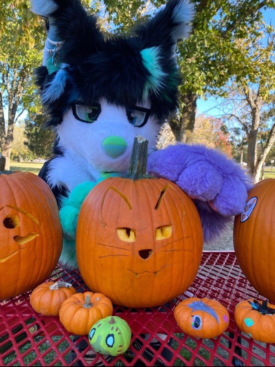 StarlightFursTN's tweet photo. We'll also see you all SUNDAY the 5th at Walden Pumpkin Farm in Smyrna!!

11am-3pm! Check out our Instagram, telegram, or discord for all the infos!!!

#tnfur #furmeet #furry #fursuit #furrycommunity https://t.co/oRYwcpV9BA