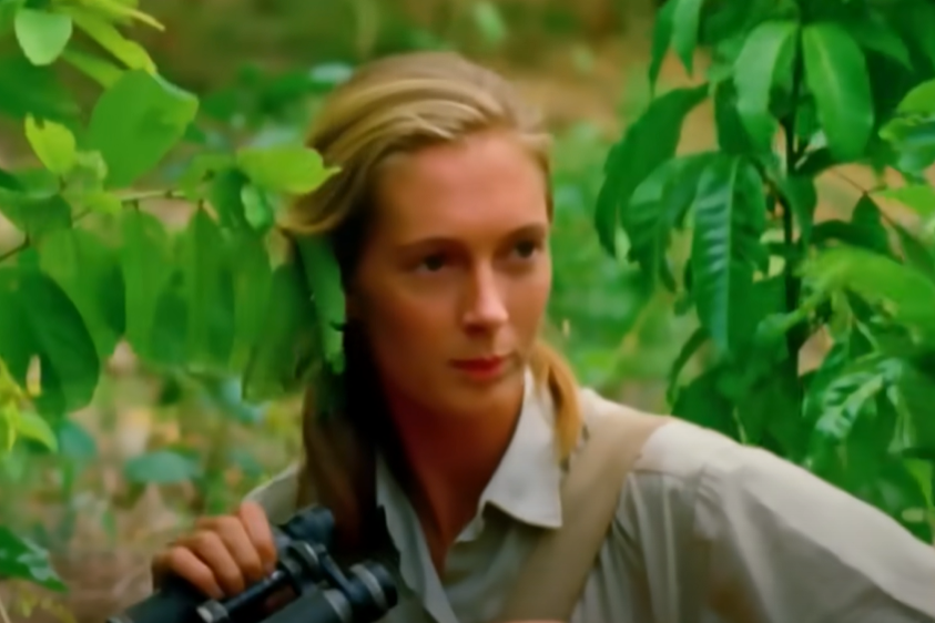 Jane Goodall, the gentle disrupter whose research on chimpanzees redefined what it meant to be human

by <a href="/mireyamayor/">Dr. Mireya Mayor</a> <a href="/ConversationUS/">The Conversation U.S.</a>

theconversation.com/jane-goodall-t…