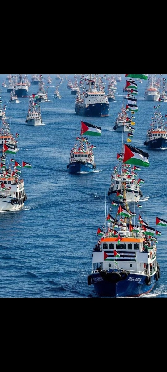 #FreePalestine 🤲🤲🤲🇵🇸🇵🇸🇵🇸