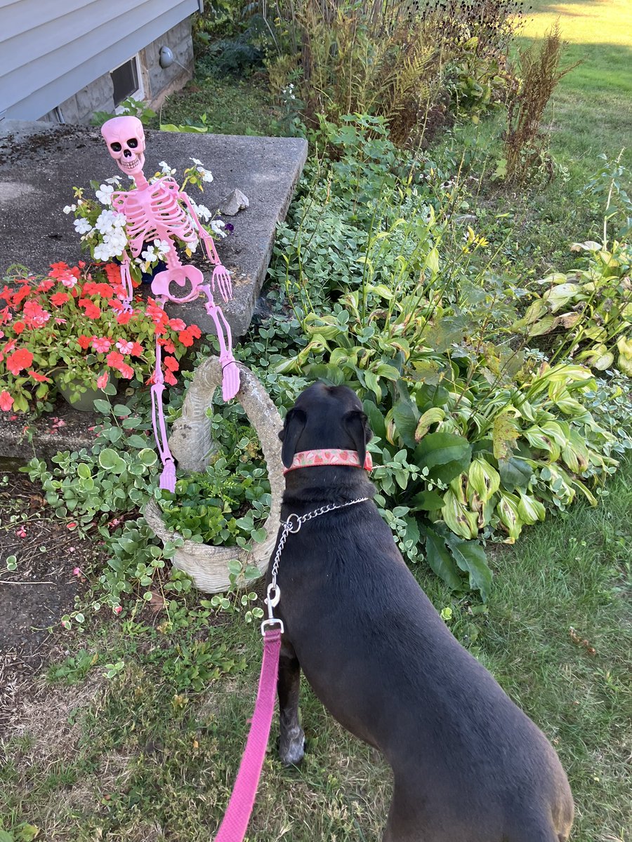 The best of friends ♡