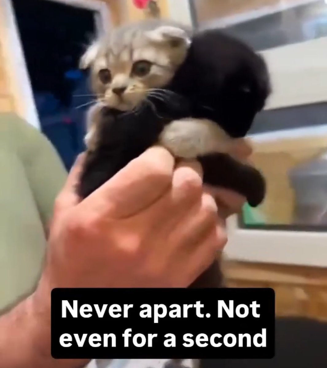 DO NOT SEPERATE THEM