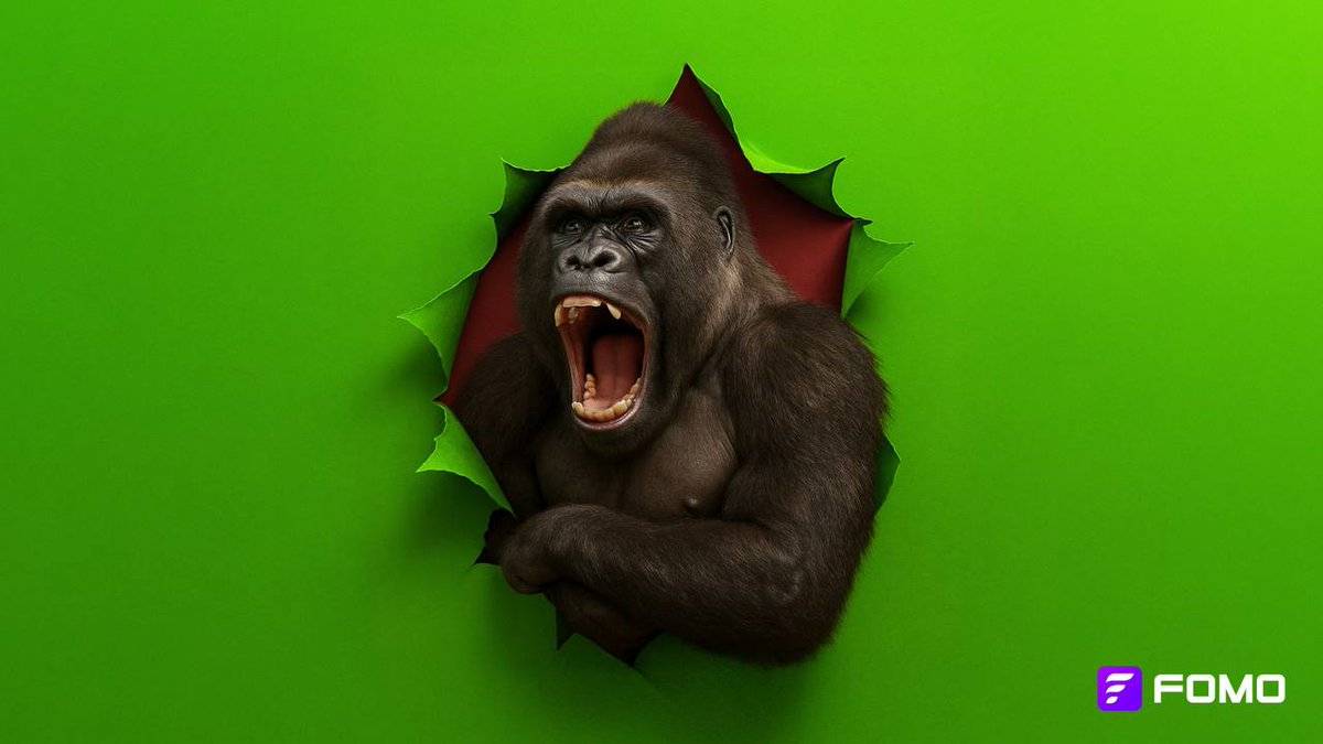 lafamiglia04's tweet photo. @lynk0x October started green. $FOMO everywhere.  Join the movement https://t.co/Nnof2xkPIH
@FOMODaily is building nicely. So many things about to drop. Tune in. Vc is open every day. #ETH #GAMING #NFT #CRYPTONEWS #REVENUE https://t.co/qOWsppPRjO