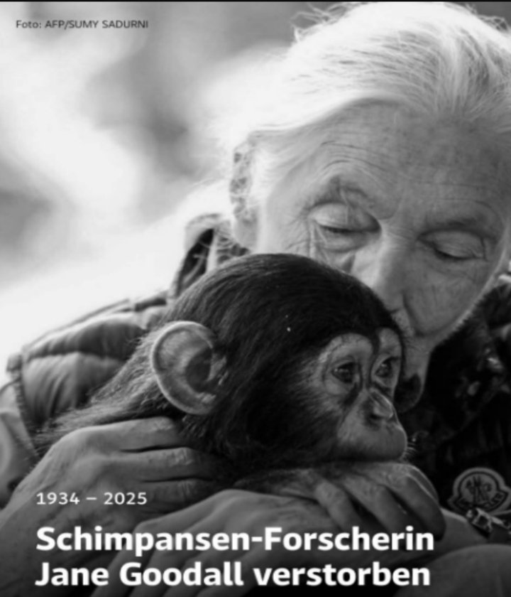 RUHE IN FRIEDEN JANE GOODALL!🕯
Danke für dein unermüdliches Engagement für die Tiere, du bleibst unvergessen!