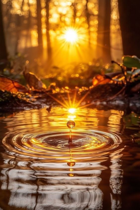 Bolbo_reta's tweet photo. "A veces,  cometemos el error 
 de olvidar que para ser felices,
               no es necesario 
          complicarse la vida."

Buenos días. https://t.co/Fa6gtNmVQH