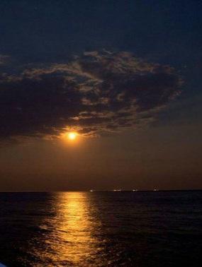 Катерина Галич tweet media