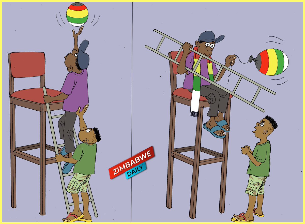 zimDaily (@zimdaily) on Twitter photo 