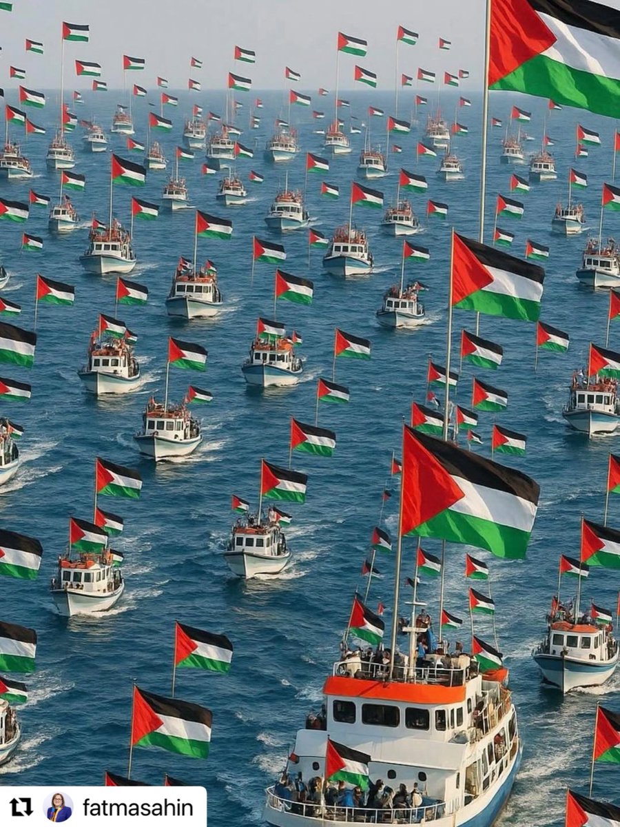 Filistin’i, Gazze’yi yok etmeye çalıştılar. Bütün dünya Filistinli, Gazzeli oldu.💝💝 
#Gaza #SumudFilosu #SumudForGaza #palestine #FreePalestine 🇵🇸 🇹🇷