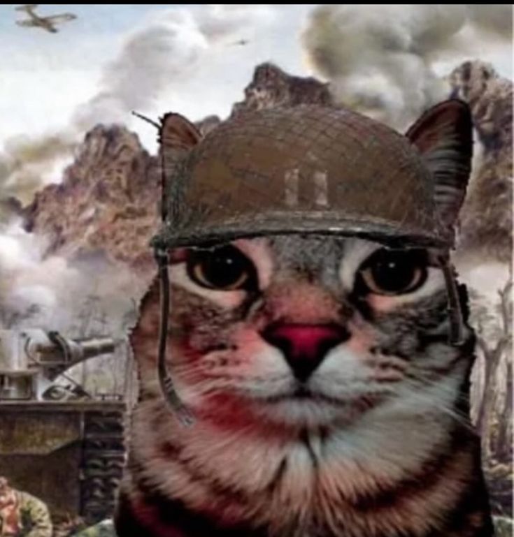 me after accepting 9 commissions and getting another one with 4 custom models