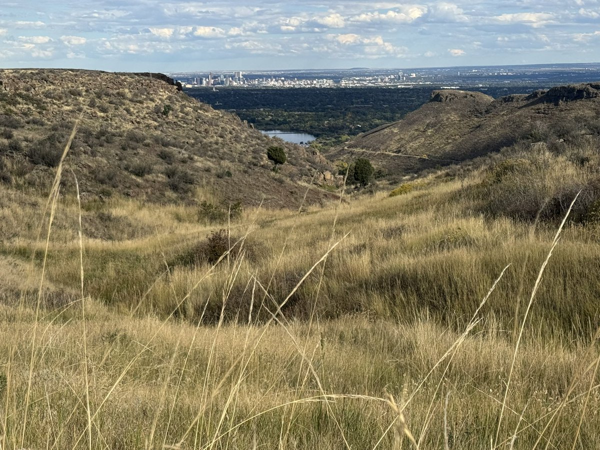 TheRealOD's tweet image. I love denver.