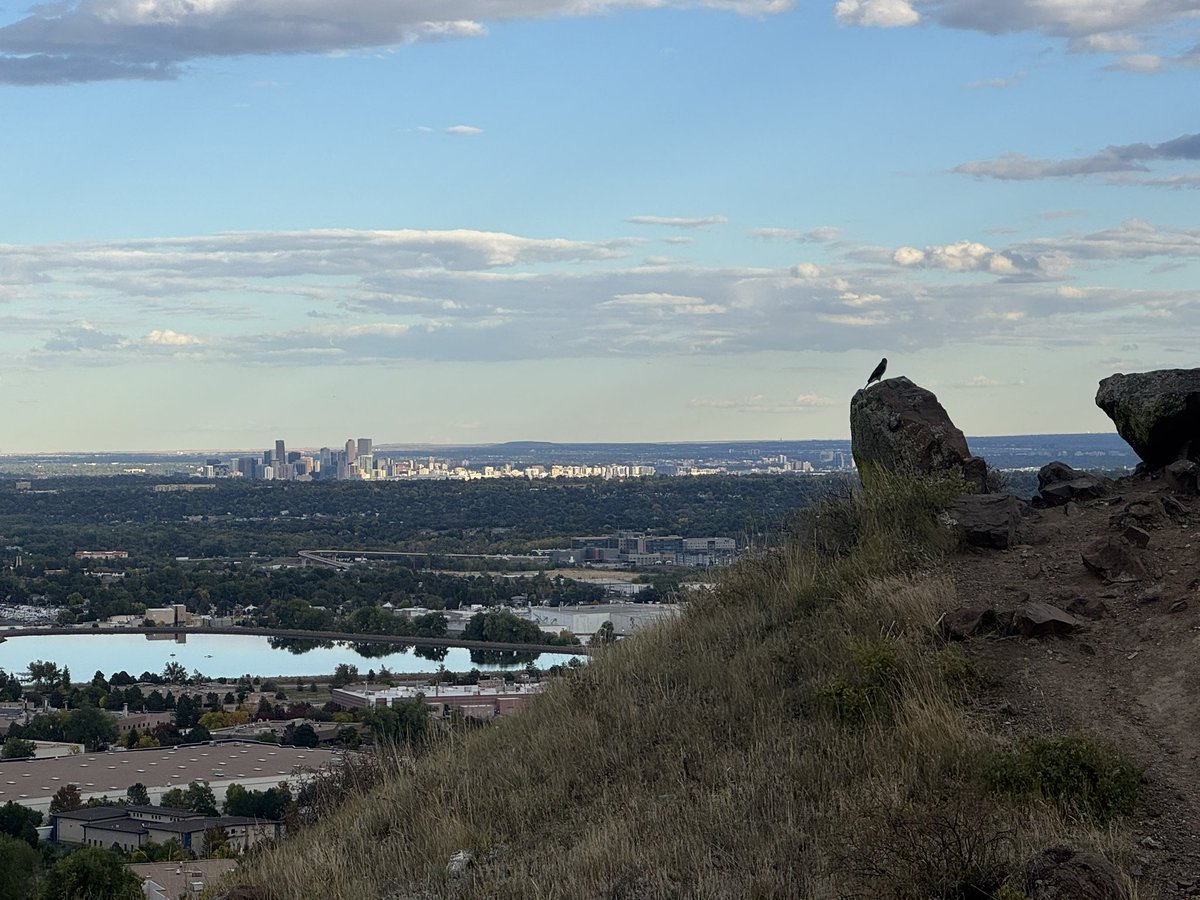 TheRealOD's tweet image. I love denver.