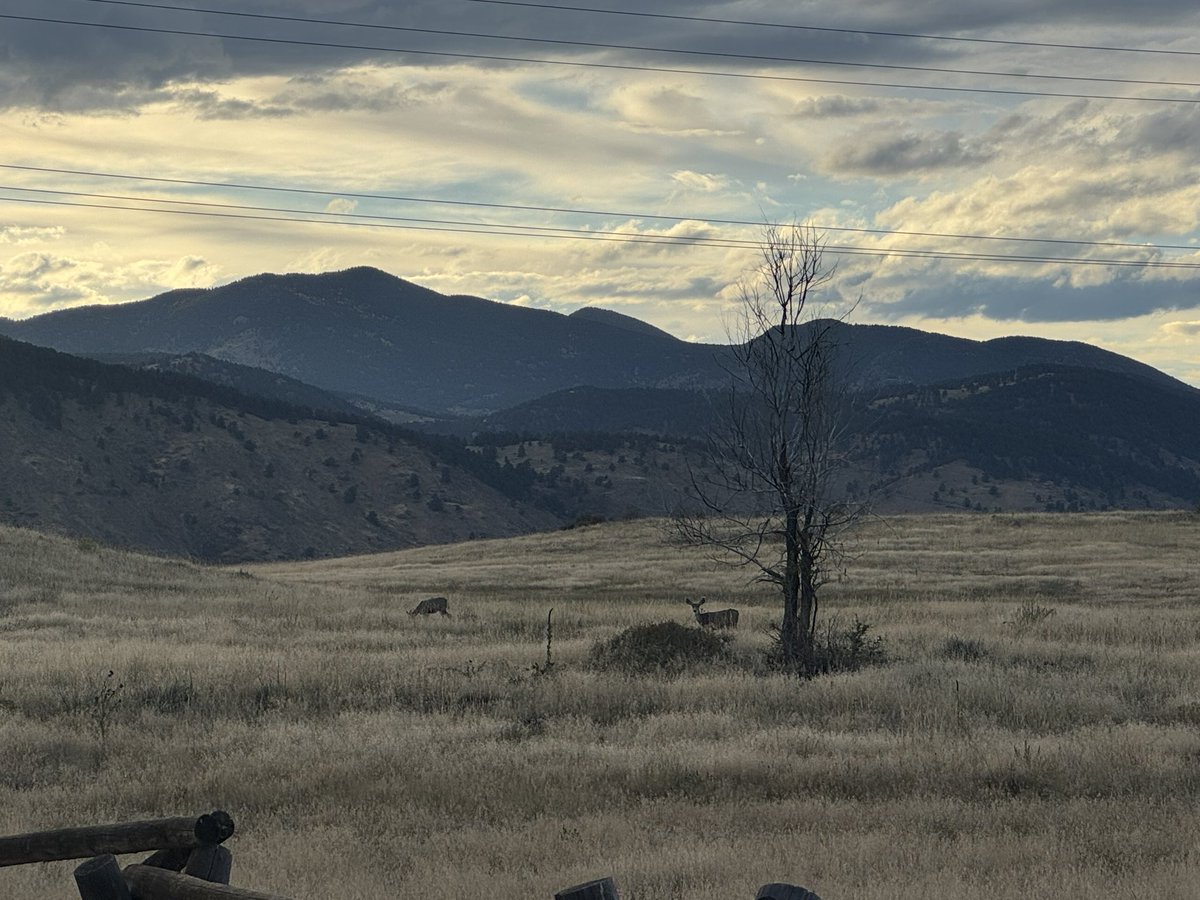 TheRealOD's tweet image. I love denver.