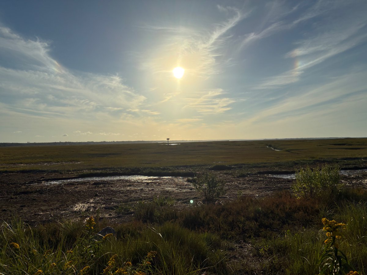 CapeCodBars's tweet image. One of my fave places, Gray’s Beach in #Yarmouth #CapeCod