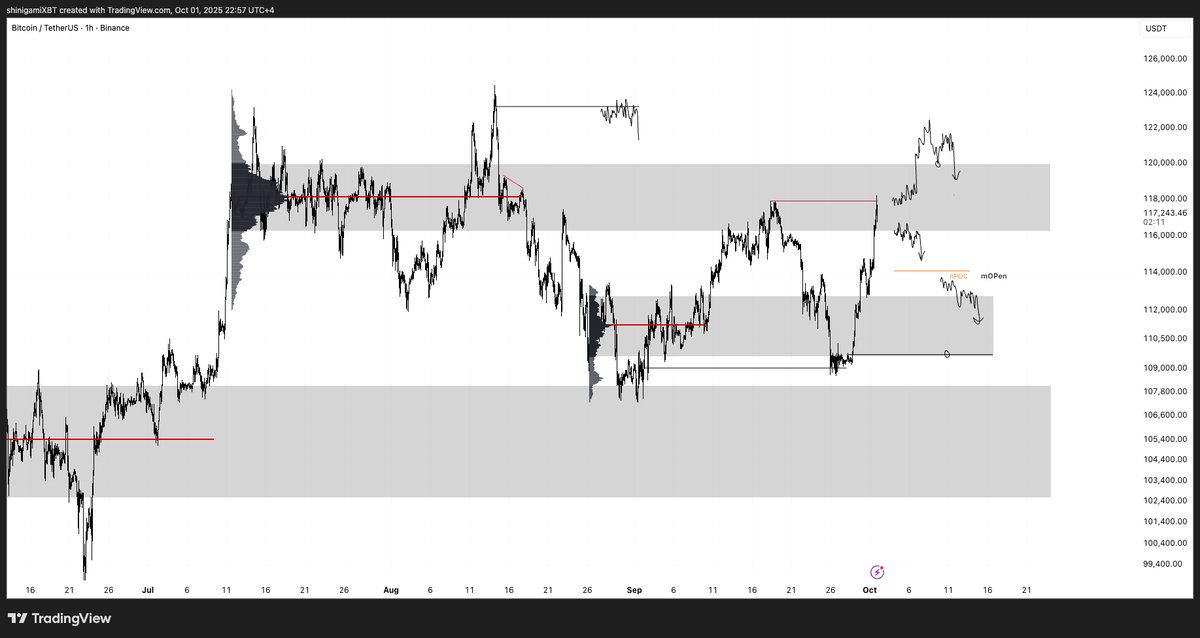 shinigamiXBT tweet media