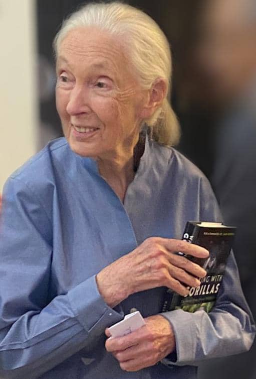 JumbeBenjamin's tweet photo. Joining the conservation fraternity in celebrating the life of Dr. Jane Goodall, the renowned conservationist and animal welfare advocate, behind the Dr Jane Goodall Institute @JaneGoodallInst  and the   Chimpanzee Sanctuary @ngambaisland 
@ugwildlife @ctph_camp @UWEC_EntebbeZoo https://t.co/eOAecNNGxT