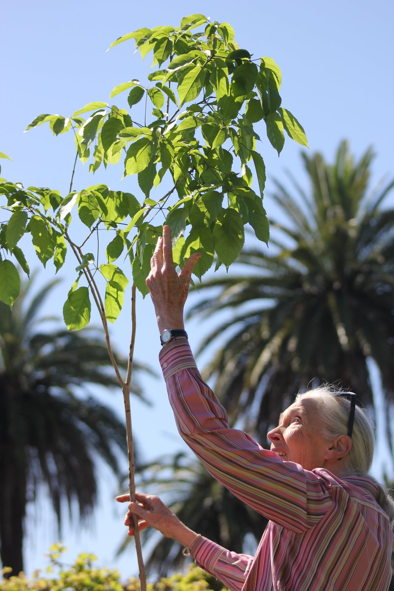 Fundación Temaikèn tweet media
