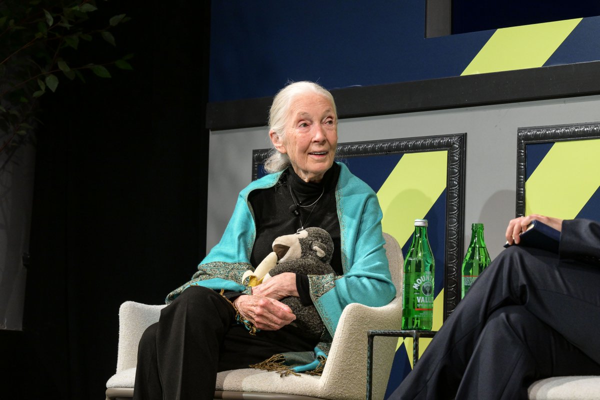 Forbes's tweet photo. Remembering Dr. Jane Goodall, DBE

At the #ForbesSustainabilityLeaders Summit last week, Forbes' Maggie McGrath spoke to Dr. Jane Goodall, DBE and the legendary founder of the Jane Goodall Institute, about why she said that biodiversity and climate resilience should be at the center of all economic conversations and her advice to the world’s founders and CEOs who wish to make climate protection part of their work but feel stymied by their board, their shareholders, or the political climate. https://t.co/zFmbsYVQvT (Photo: Jamel Toppin for Forbes)