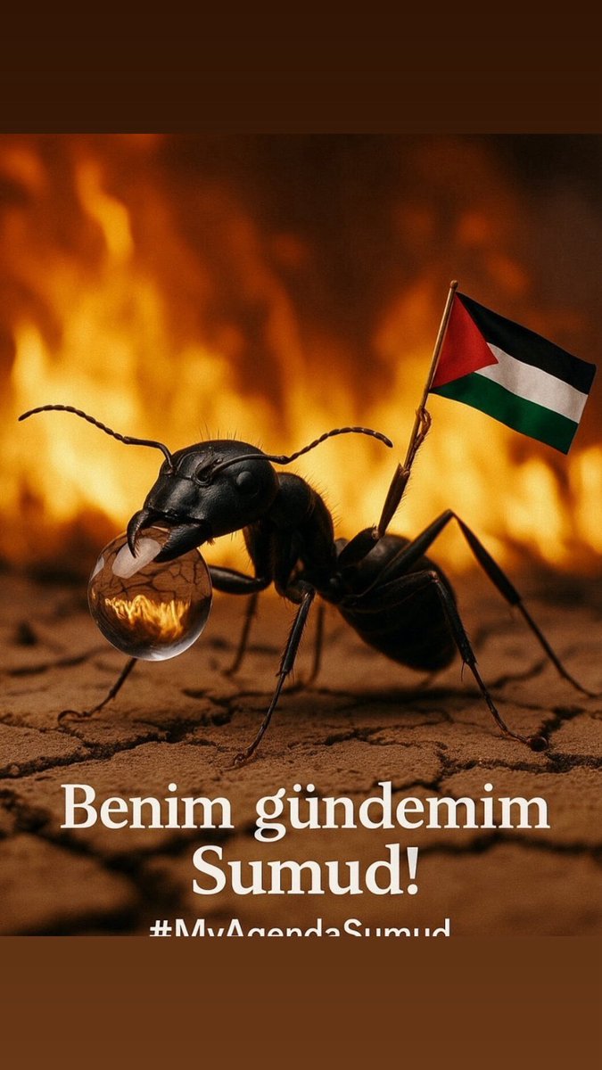 dibogul's tweet photo. #Hamas
#FreePalestine
#IsraelTerroristState https://t.co/WekLIPB8JB