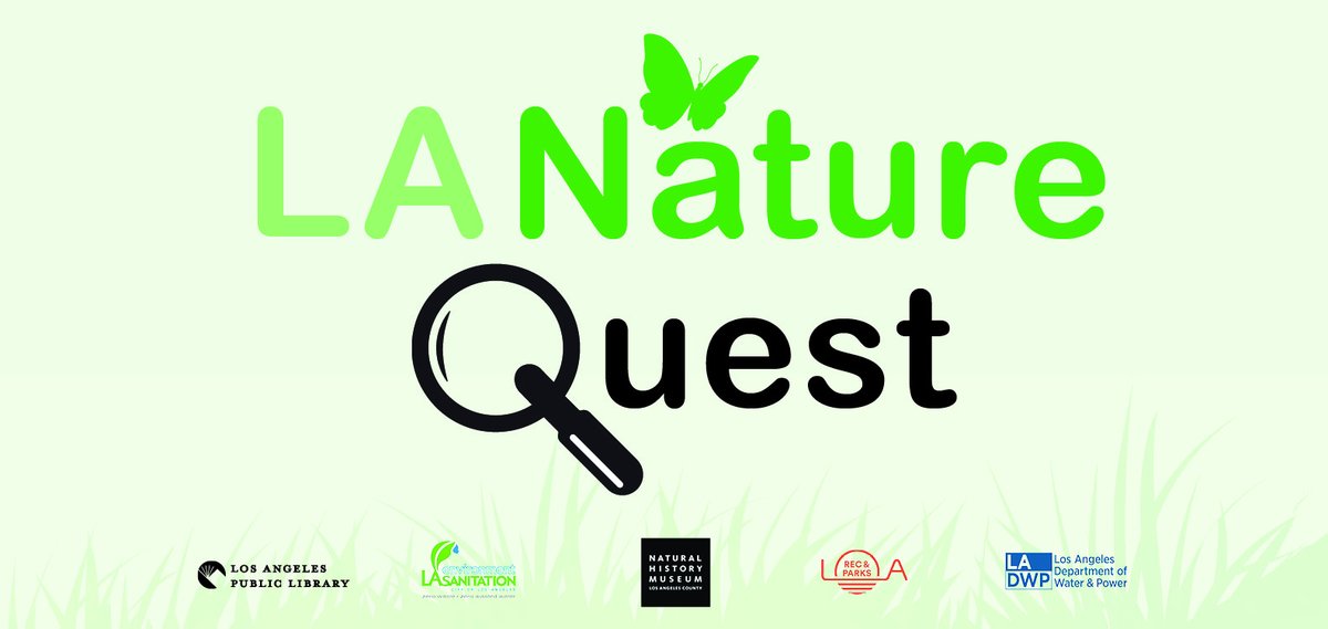 LAPublicLibrary's tweet image. Celebrate the launch of the 2025 LA Nature Quest at Griffith Park. Enjoy fun, family-friendly activities, explore local wildlife, and learn how you can contribute!

📅 Saturday, October 4
⏰ 9 a.m. - 12 noon
🔗 lapl.me/H7Cz94F 
📝 RSVP: lapl.me/SLRvWnN