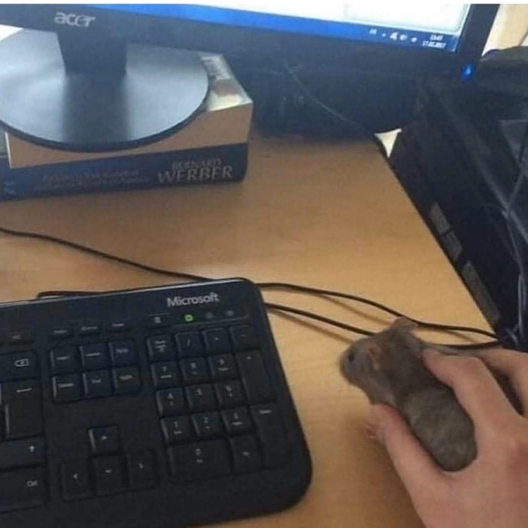 TheVixhal's tweet image. Always use original product