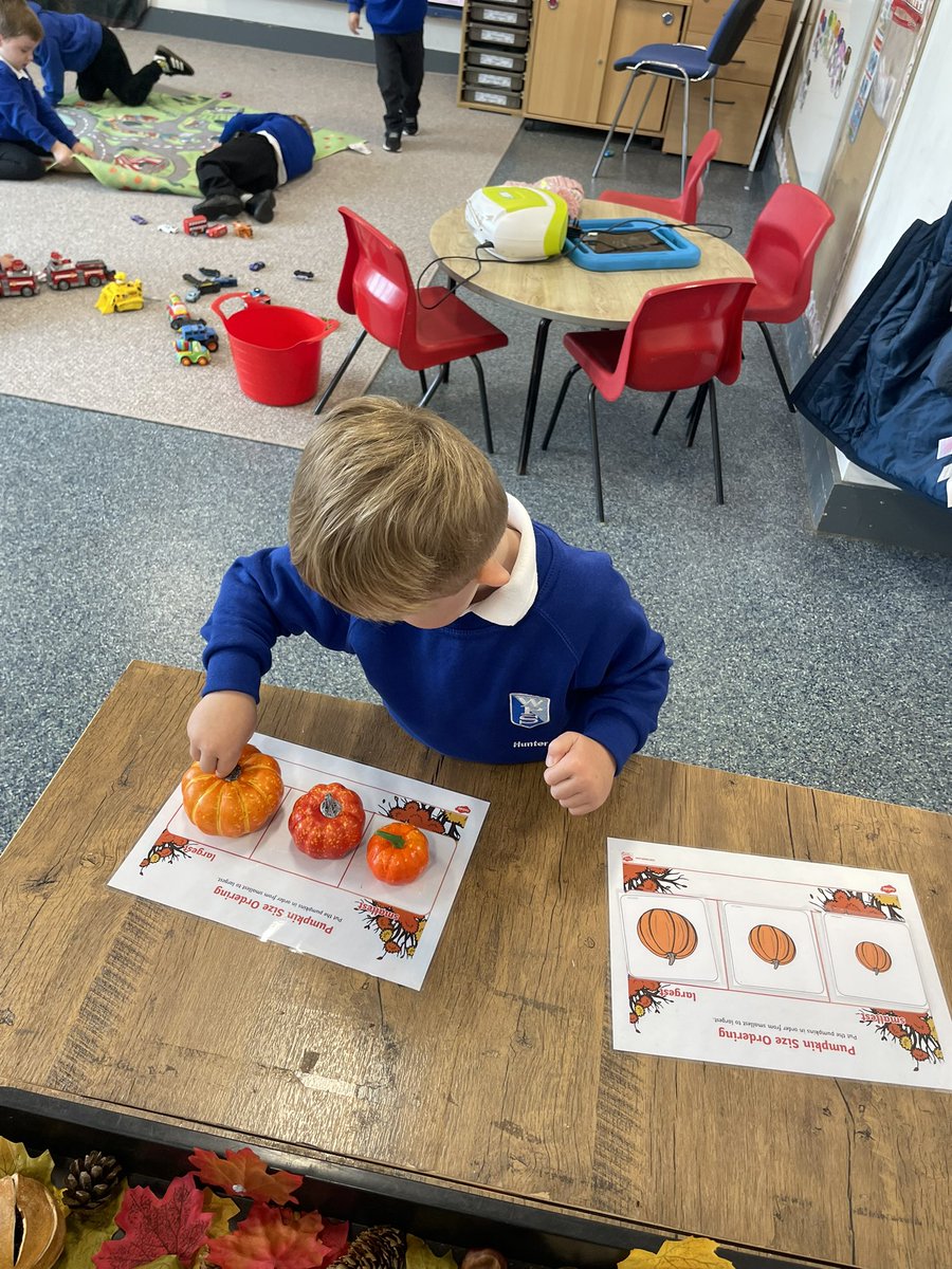 Williamstown Primary School tweet media