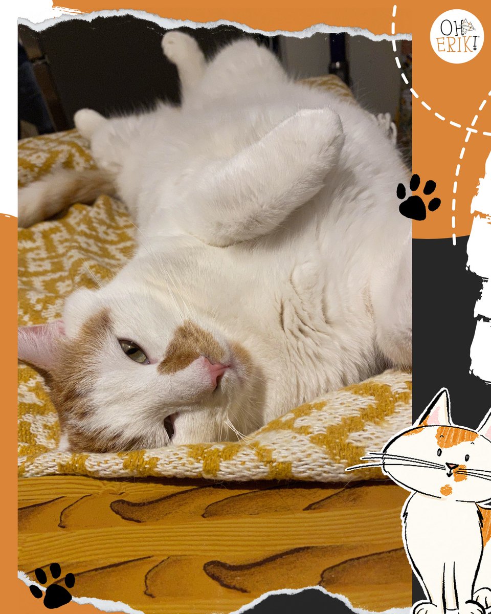 Hello October! 🍁🎃 The leaves are crunchy, the air is spooky &amp; my whiskers are ready for pumpkin-scented mischief. Get ready for a month of orange-cat energy &amp; seasonal chaos. 😼
 #HelloOctober #OrangeCatEnergy