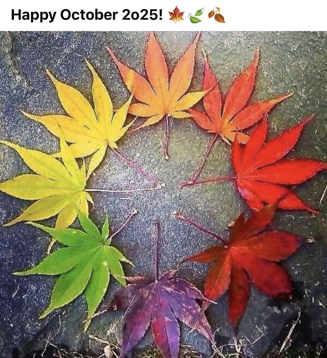 DesignAEC's tweet image. 