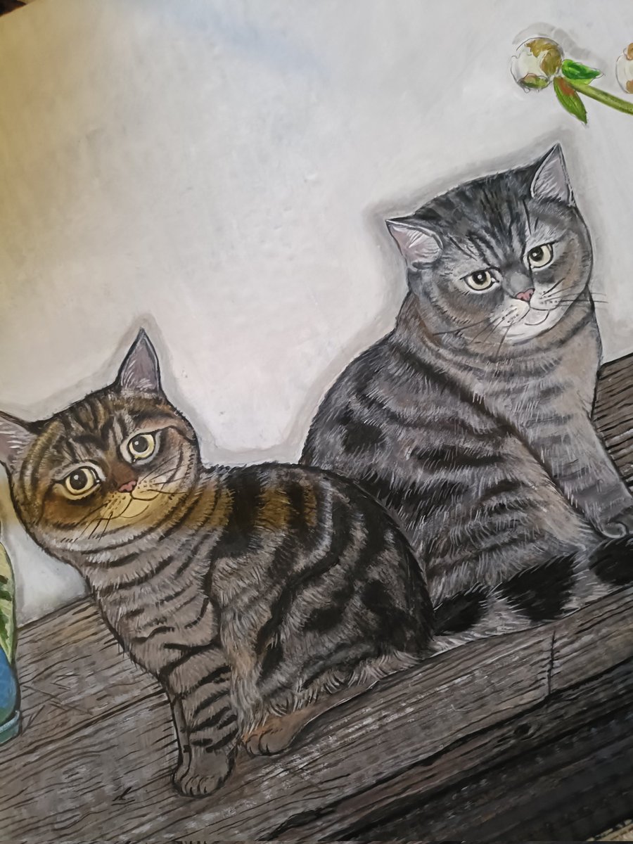 satomysys's tweet photo. 猫
#猫の絵 https://t.co/Kkkk84y9EO