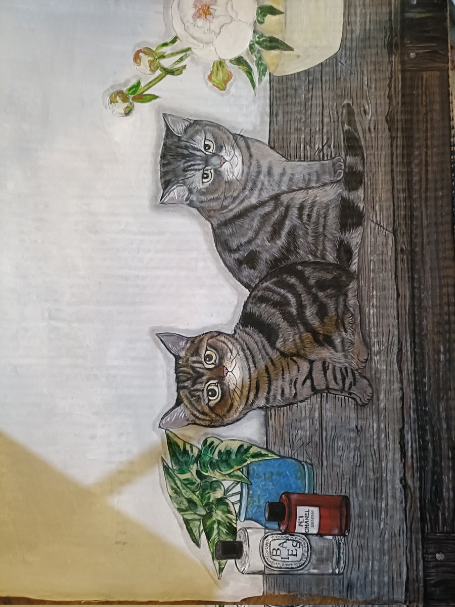 satomysys's tweet photo. 猫
#猫の絵 https://t.co/GvaLi40nFF