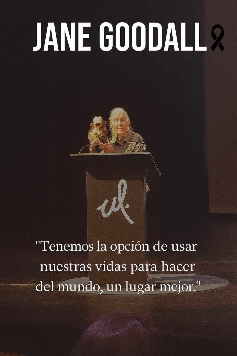 FundacionToby's tweet photo. Hoy el mundo despide a una de las voces más grandes en la defensa de los animales y la naturaleza. 🌿🐒
Jane Goodall nos enseñó que la compasión, la ciencia y la esperanza pueden cambiar el rumbo del planeta.

Su legado nos recuerda que cada acción cuenta, que tenemos el poder de usar nuestras vidas para hacer de este mundo un lugar mejor. ✨

Gracias, Jane, por dedicar tu existencia a dar voz a quienes no pueden hablar. Tu luz seguirá inspirando cada rescate, cada árbol sembrado y cada paso hacia un futuro más justo para todos los seres vivos. 💚