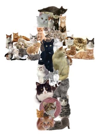 twdtelltales's tweet image. são carlo acutis ajude uma lésbica a conseguir o ingresso do lollapalooza por favor