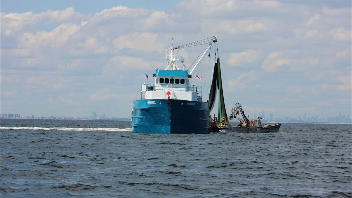 Menhaden Defenders tweet media