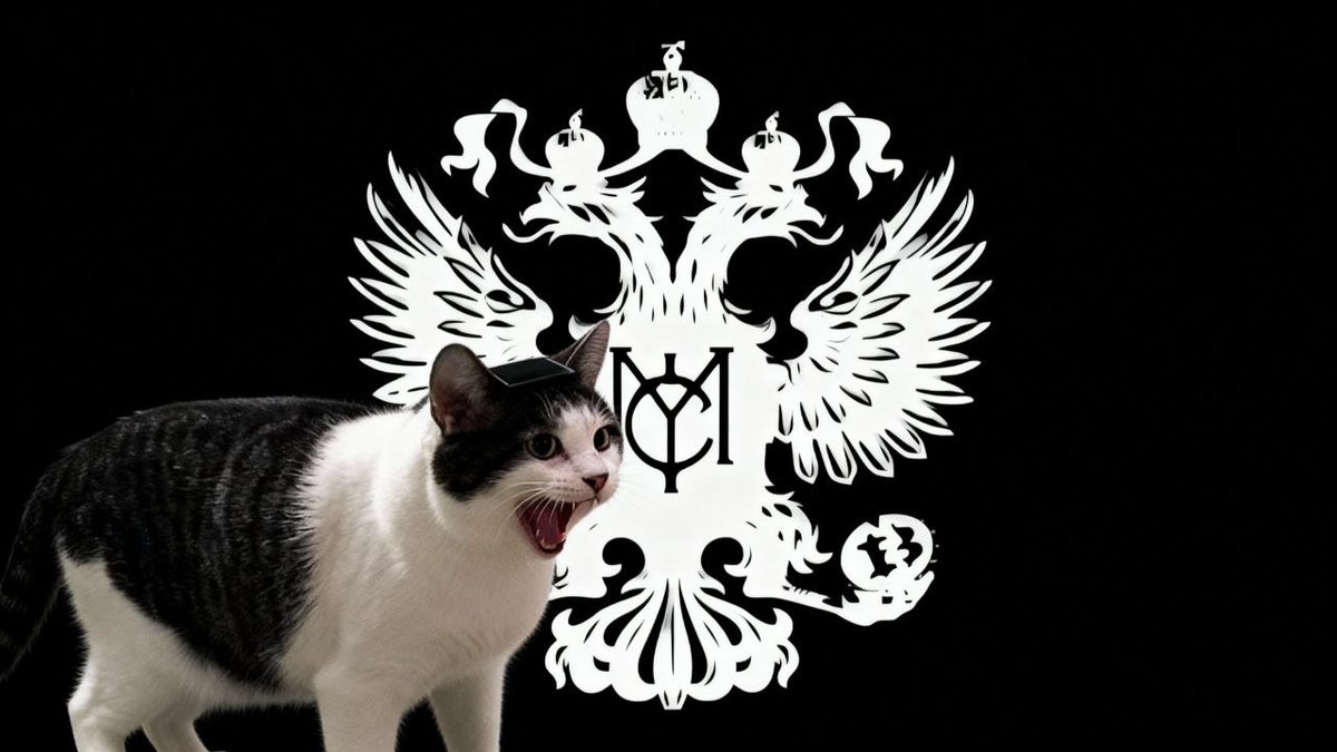 MYC_NETWORK's tweet image. FULL SEND #REACT