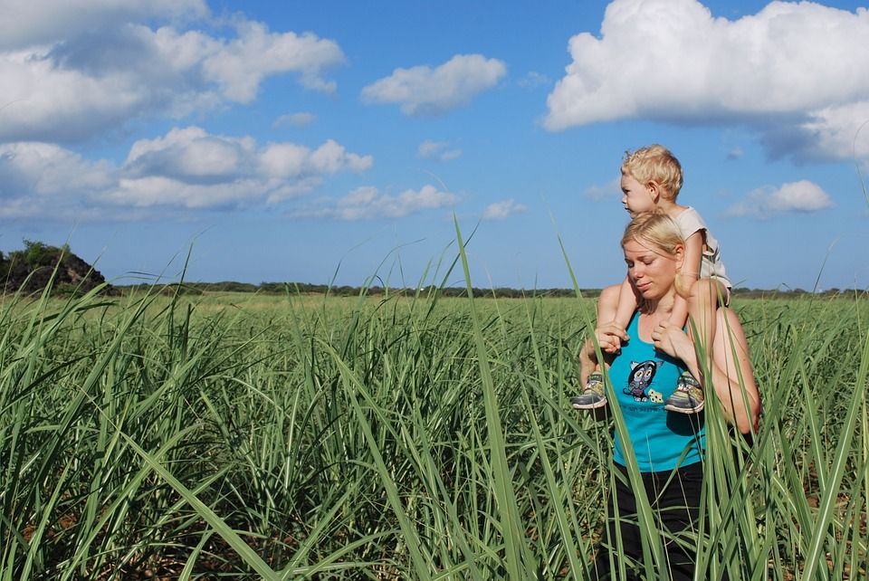 What are bio-based chemicals?
LEARN HERE >> kreusslerinc.com/what-are-bio-b…
#sustainability #biobasedchemicals
#biobased