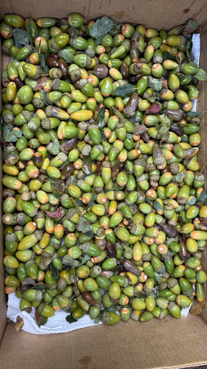 Michael Eisen tweet media