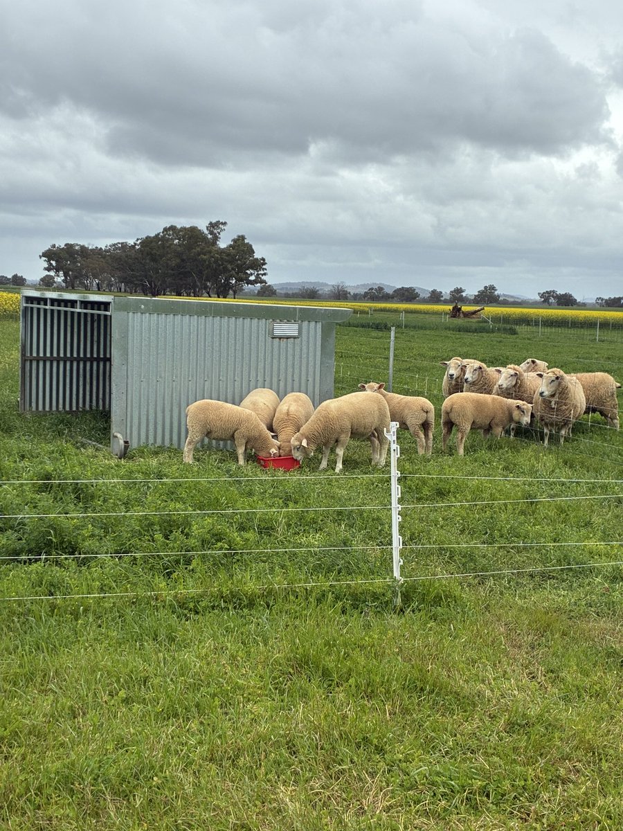 Jess Wyse tweet media