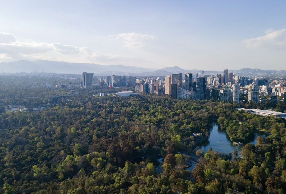 DONDEIRweb's tweet image. ¡Hallan NUEVA especie de luciérnaga en #Chapultepec! ¿Y lo mejor de todo? Podrás participar en ponerle un nombre; aquí te contamos los detalles 🤩🤓

dondeir.com/ciudad/hallan-…